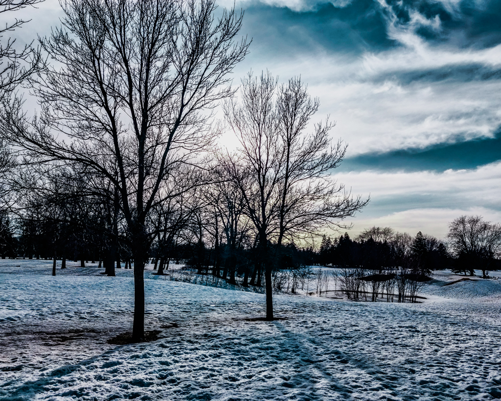 b landscape montreal 1